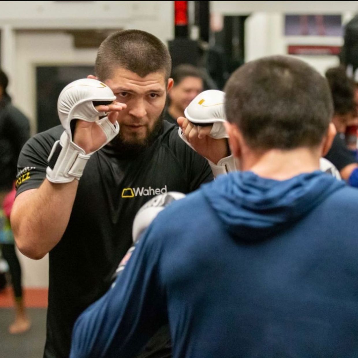 UFC Fight Night: возвращение Нурмагомедова и битва русского Максимуса!