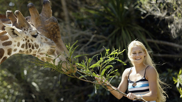 Australian Open. Фото Getty Images