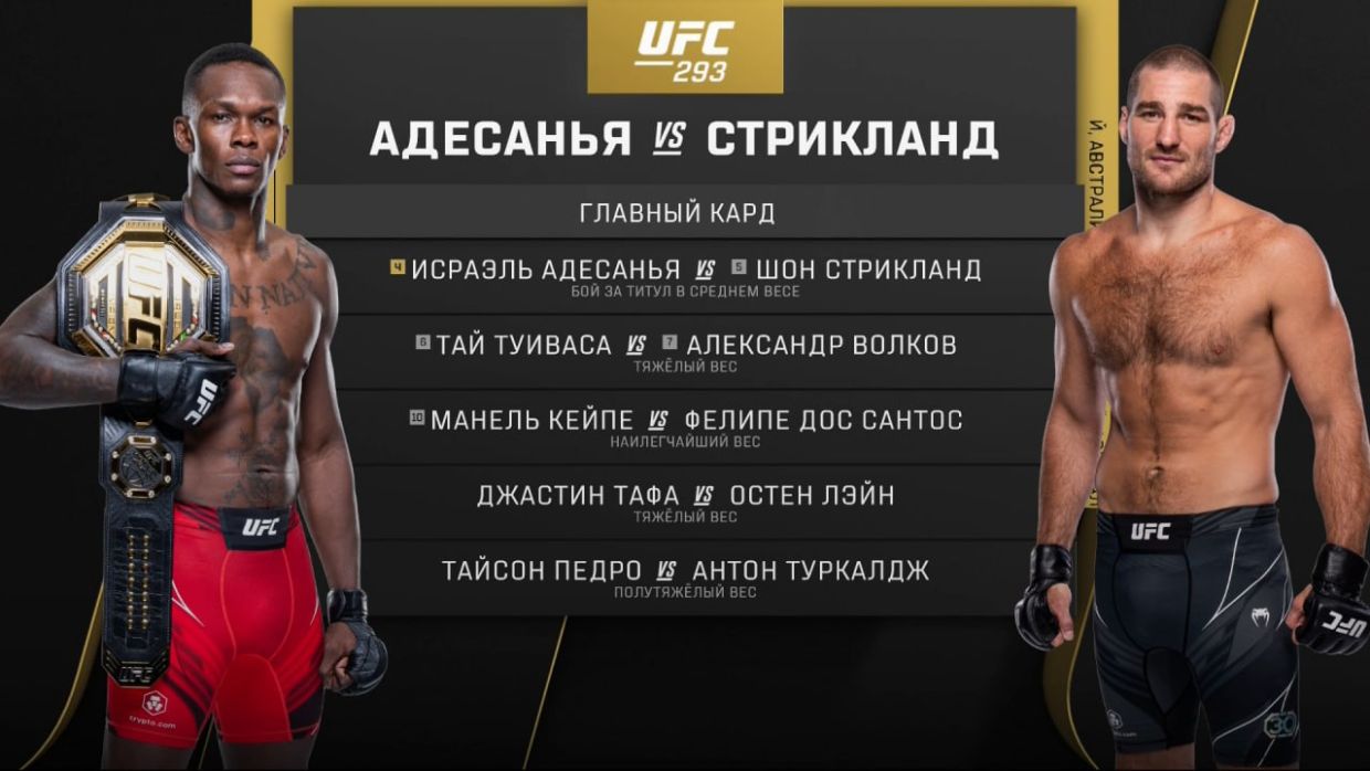 UFC 293: Волков уничтожил Туивасу! А Стрикленд снял пояс с Адесаньи